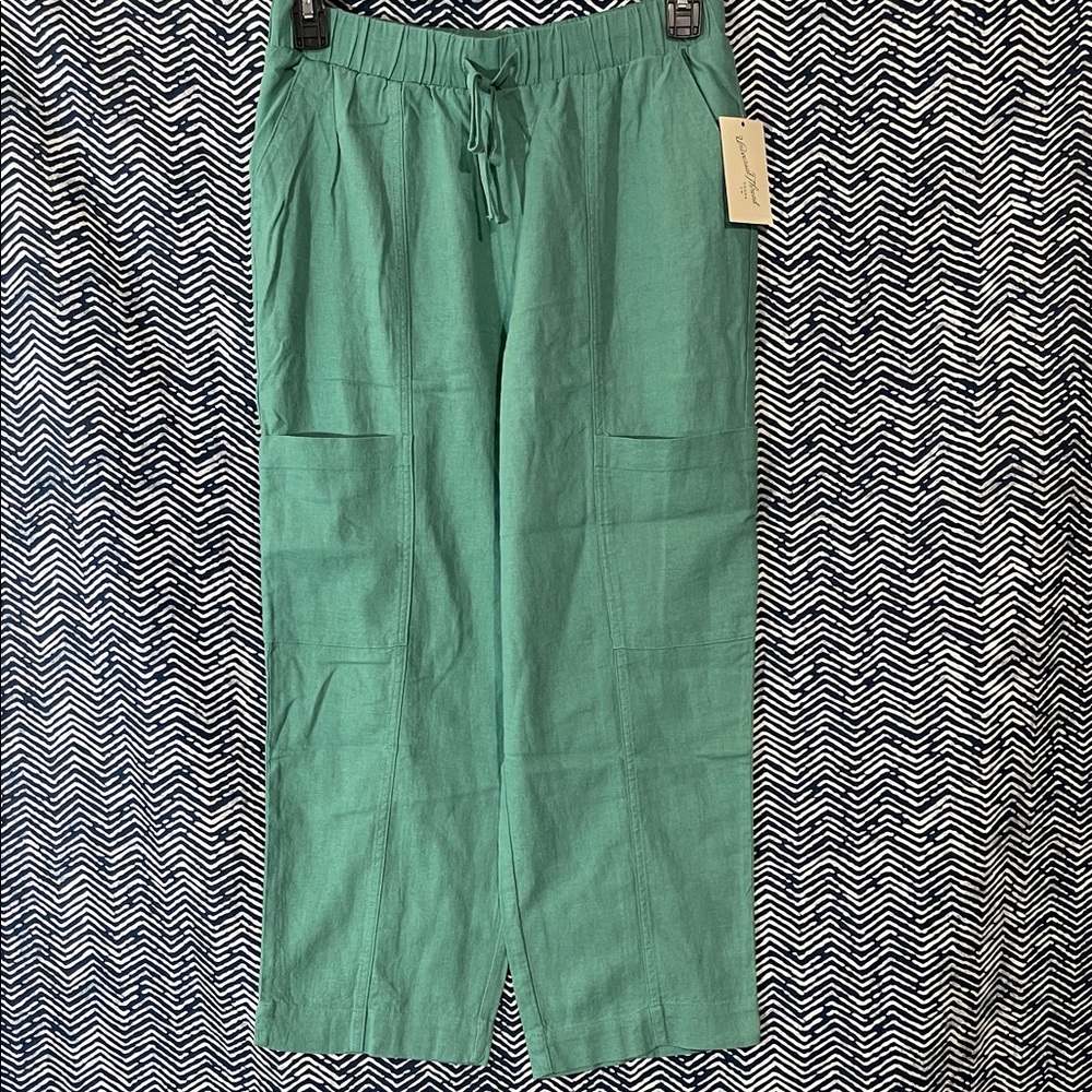 Universal Thread Teal Cargo Pants
